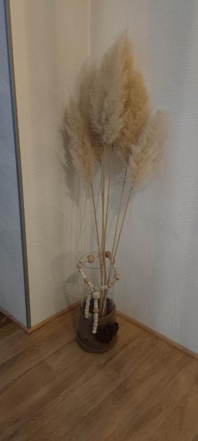 Gite A L'Aigle De Sable 킨츠하임 외부 사진